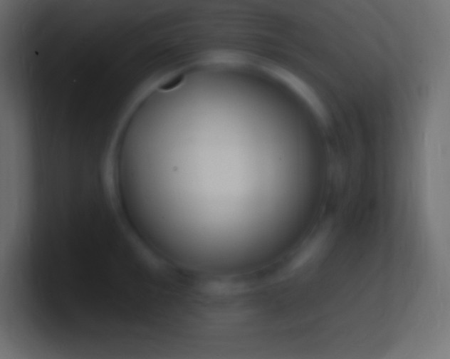 X0000100780901200807031229