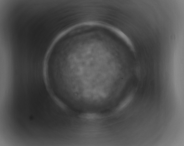 X0000100780903200807031229