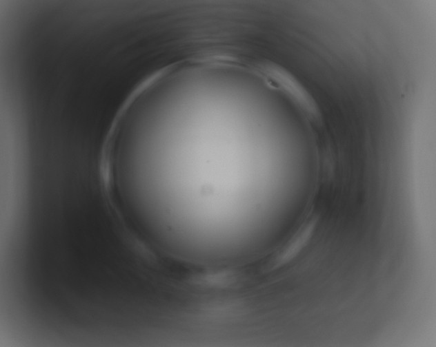 X0000100780908200807031229