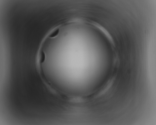 X0000100780909200807031229