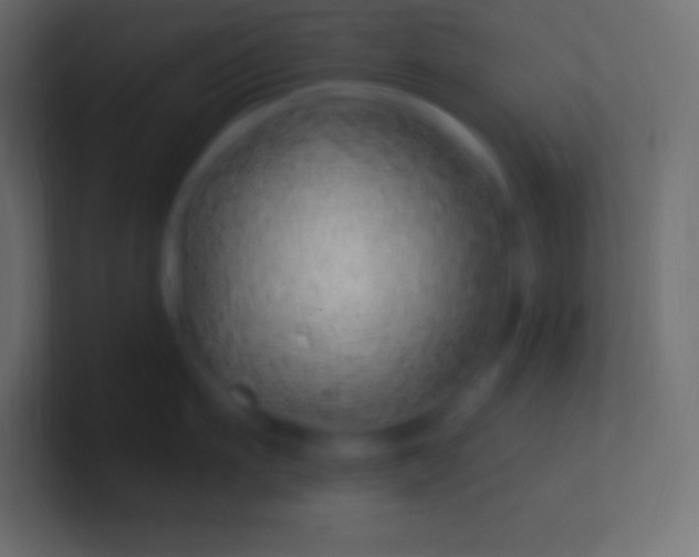 X0000100780911200807031229