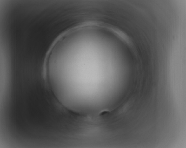 X0000100780912200807031229