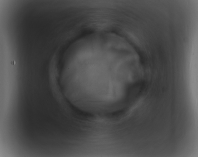 X0000100780913200807031228