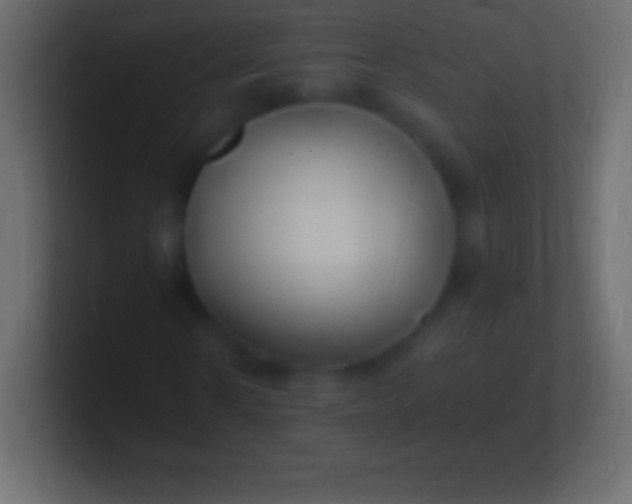 X0000100780914200807031228