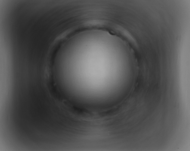 X0000100780920200807031228