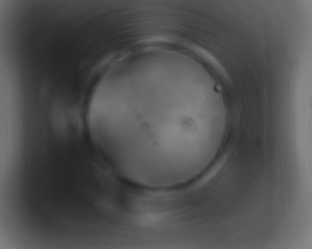 X0000100780921200807031228