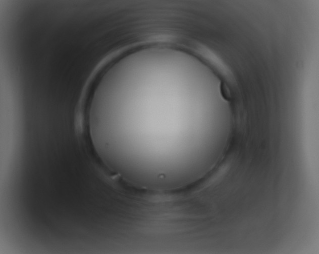 X0000100780924200807031228