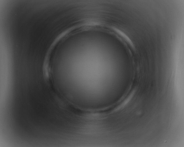 X0000100780925200807031228