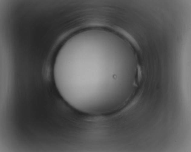 X0000100780926200807031228