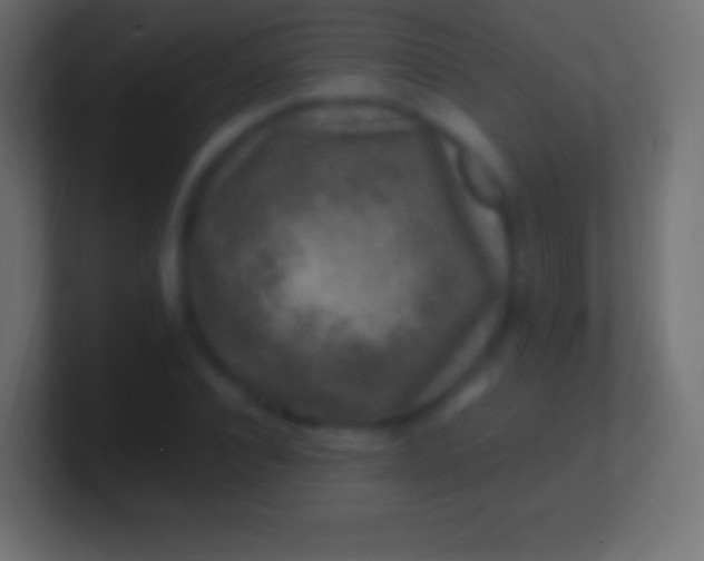 X0000100780928200807031228