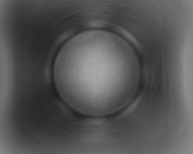 X0000100780930200807031228