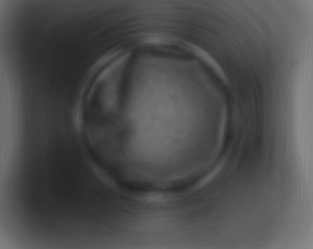 X0000100780938200807031228