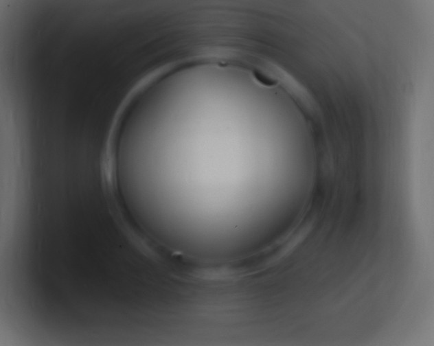 X0000100780940200807031228