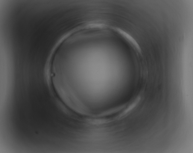 X0000100780941200807031228