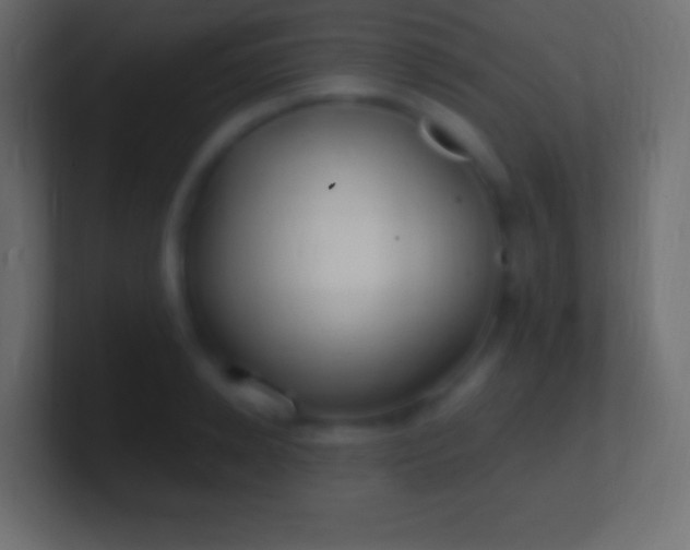 X0000100780942200807031228