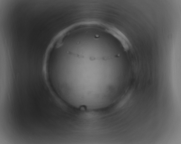 X0000100780943200807031228