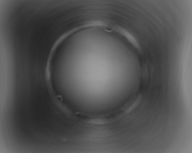 X0000100780944200807031228