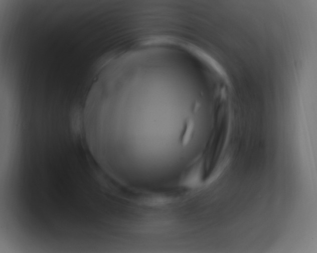 X0000100780945200807031228