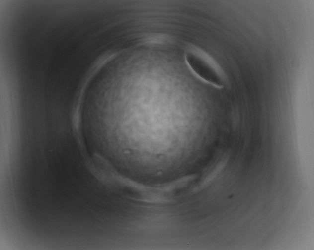 X0000100780946200807031228