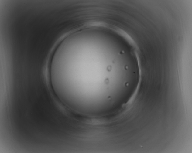 X0000100780947200807031228