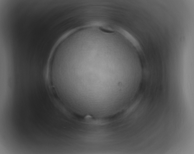 X0000100780948200807031228