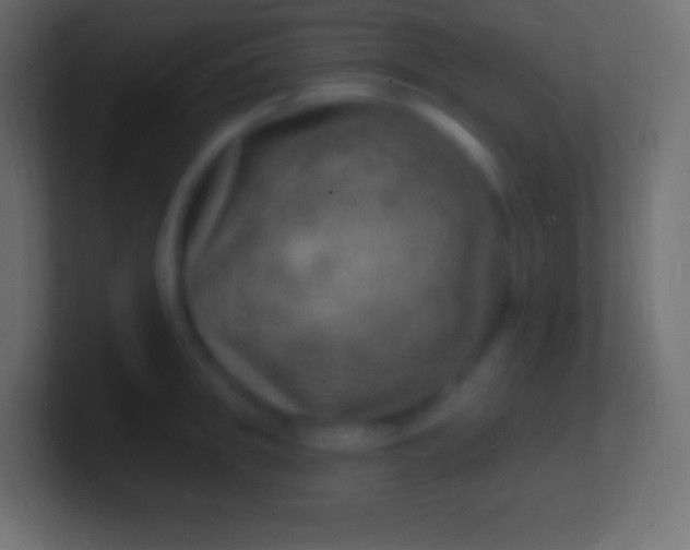 X0000100780949200807031228