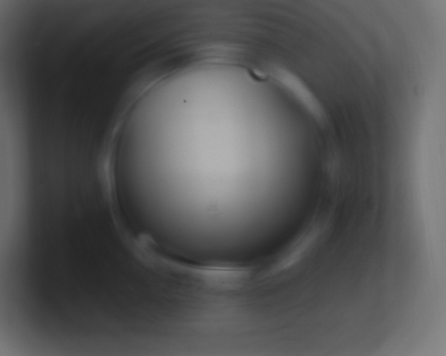 X0000100780954200807031228