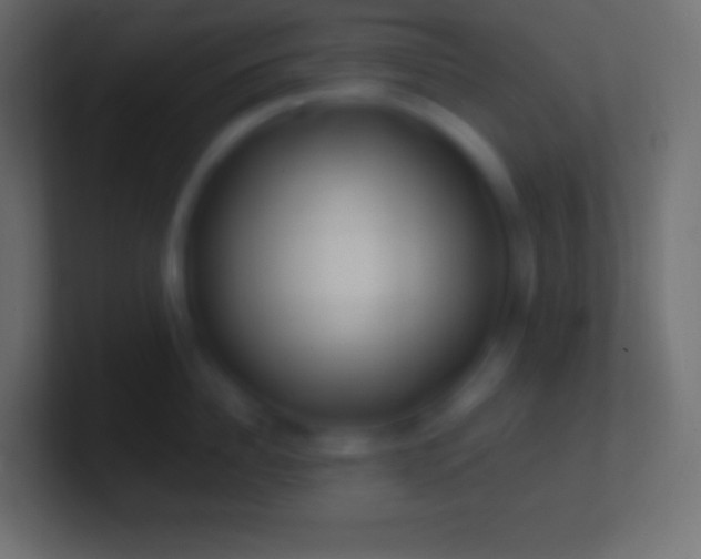 X0000100780956200807031229