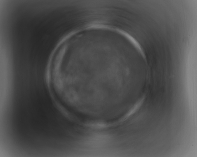 X0000100780957200807031229