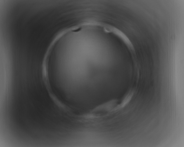 X0000100780958200807031229