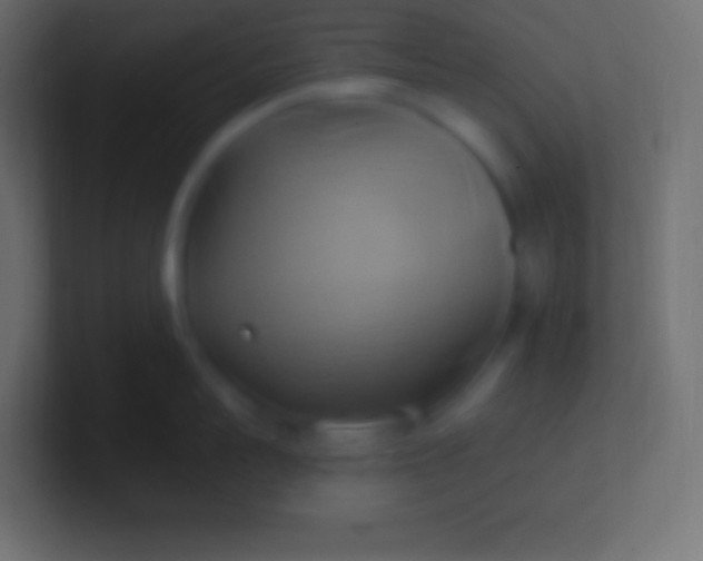 X0000100780959200807031229