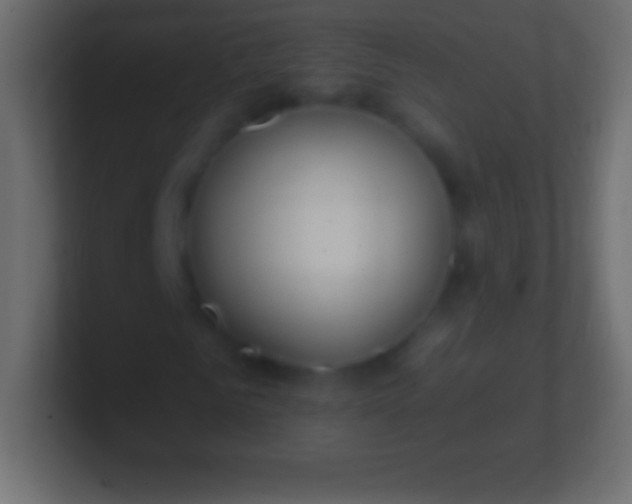 X0000100780961200807031228