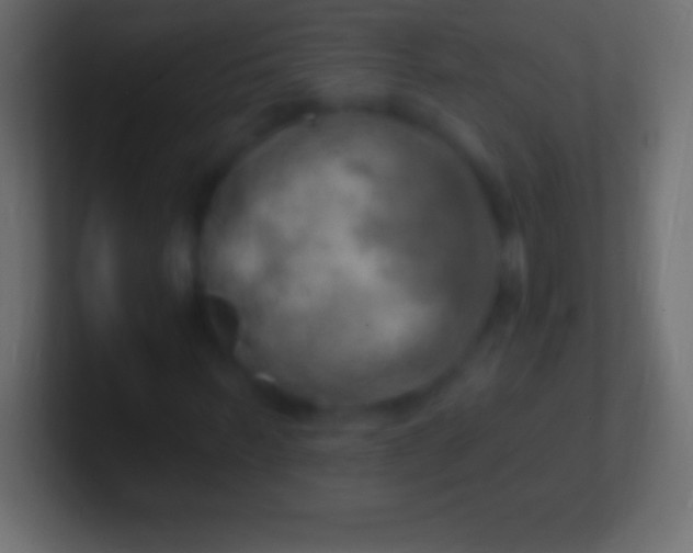 X0000100780963200807031228