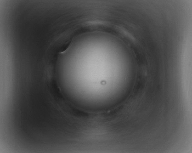 X0000100780965200807031228