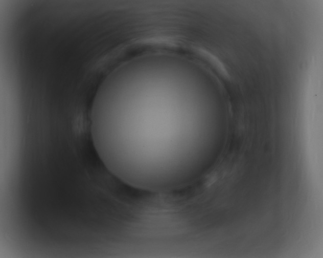 X0000100780966200807031228