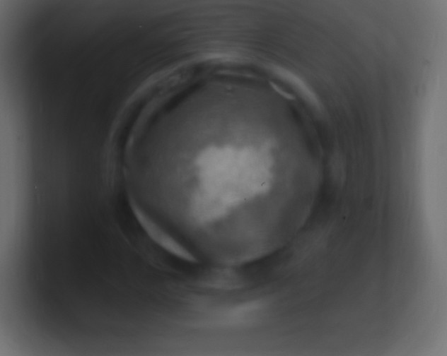 X0000100780968200807031228