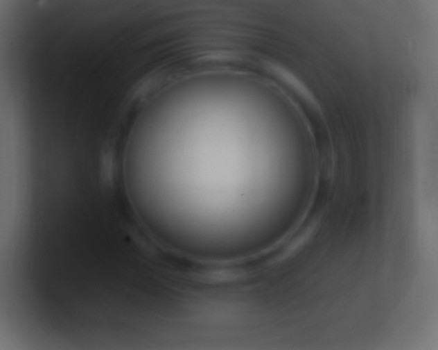 X0000100780969200807031228