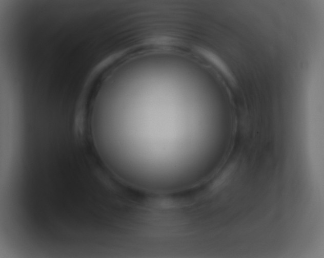 X0000100780971200807031228