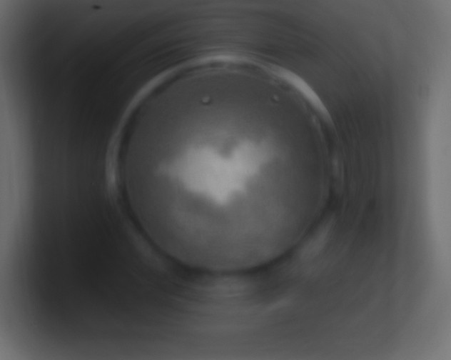 X0000100780972200807031228