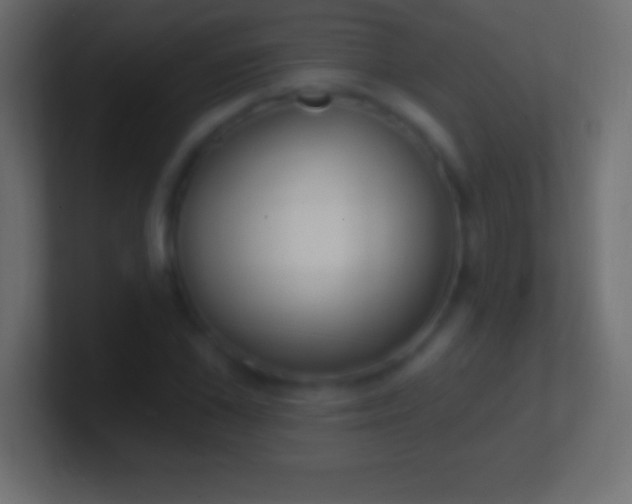 X0000100780973200807031228