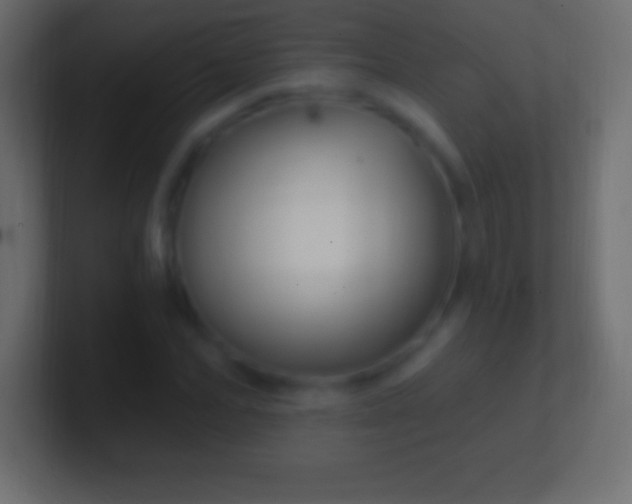 X0000100780974200807031228