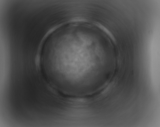 X0000100780975200807031228