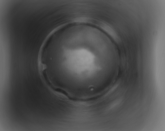 X0000100780976200807031228