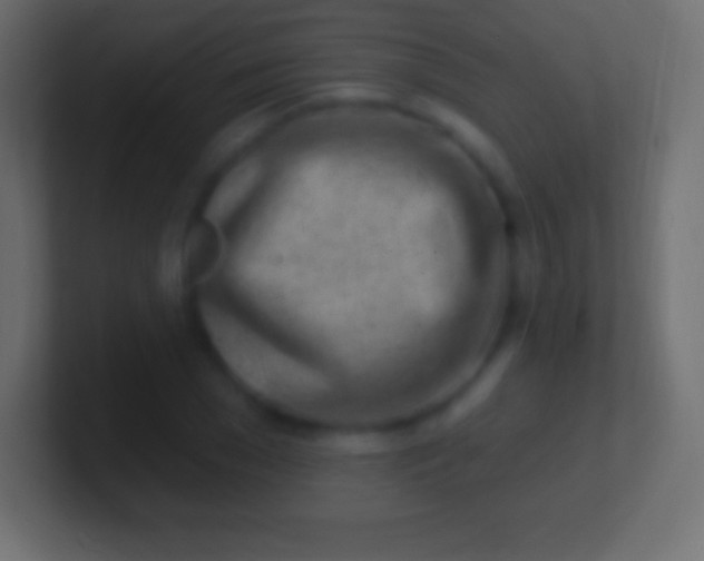 X0000100780977200807031228