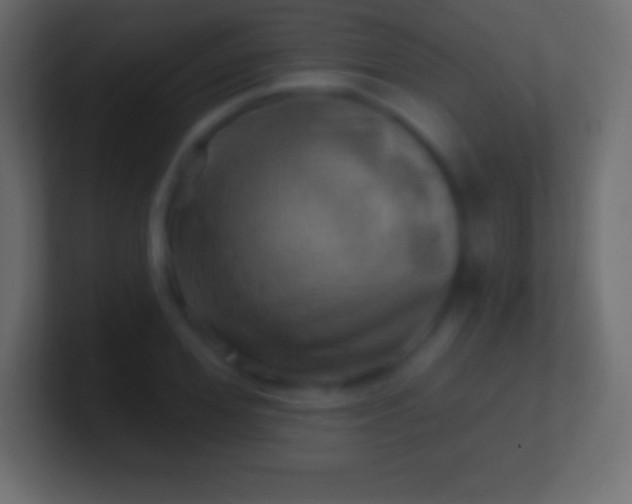 X0000100780980200807031228