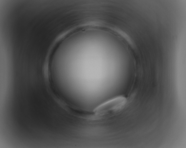 X0000100780982200807031228