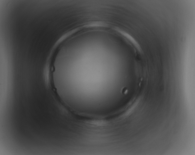 X0000100780983200807031228