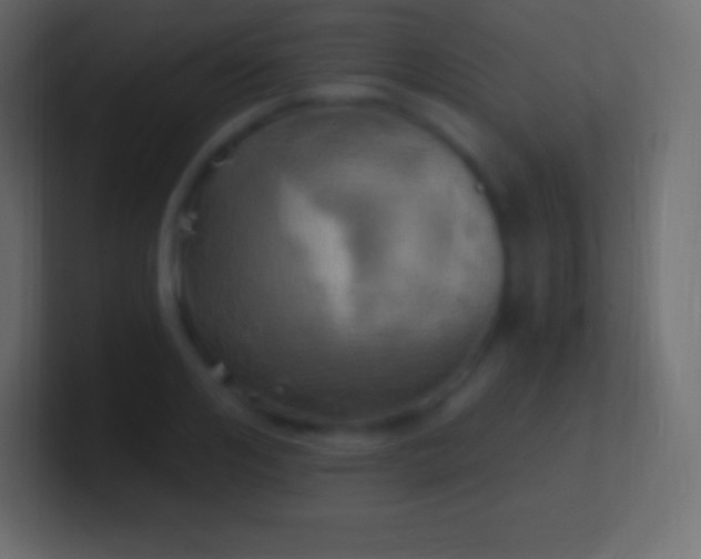 X0000100780984200807031228