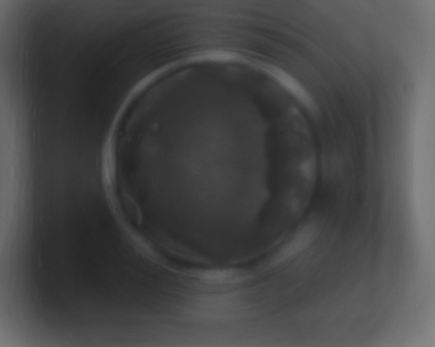 X0000100780988200807031228