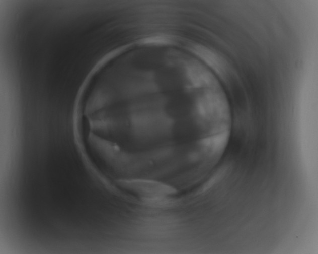 X0000100780992200807031227